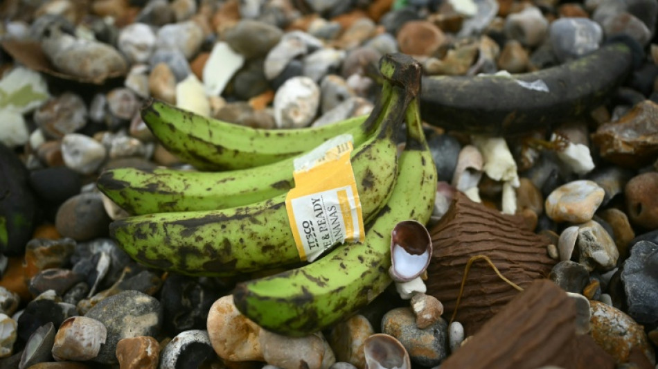 UK public urged to keep eyes peeled for washed-up bananas