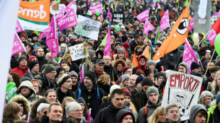 B&uuml;ndnis "Wir haben es satt" ruft zur Demonstration in Berlin auf