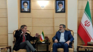 Jefe del OIEA considera "constructivas" las conversaciones en Ir&aacute;n