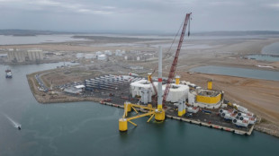 Encore balbutiant, l'&eacute;olien flottant en mer d&eacute;ploie peu &agrave; peu ses ailes 