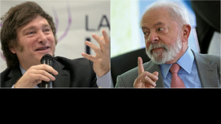 Milei, un voisin g&ecirc;nant pour le Br&eacute;sil de Lula