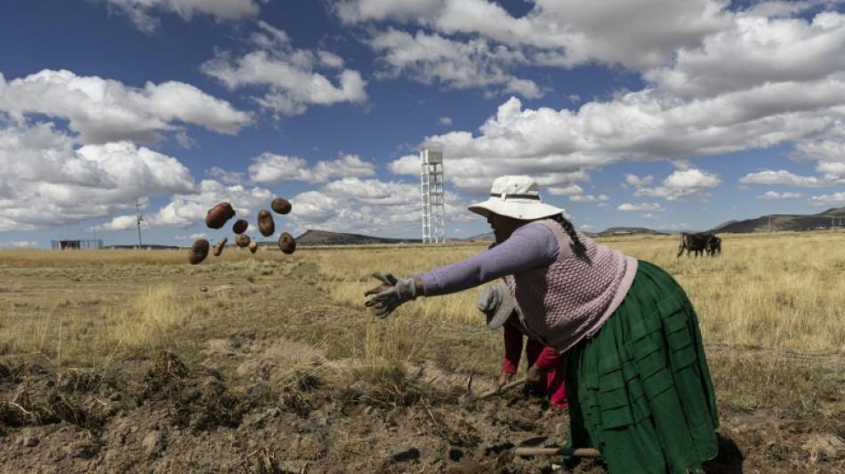 In Peru's highlands, hopelessness shapes a bitter presidential runoff