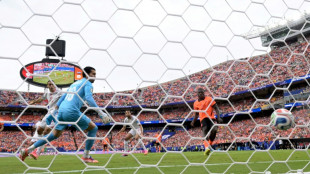 Pa&iacute;ses Baixos vencem Tun&iacute;sia (3-1) e avan&ccedil;am aos 16-avos da Copa em 1&ordm; lugar do Grupo F