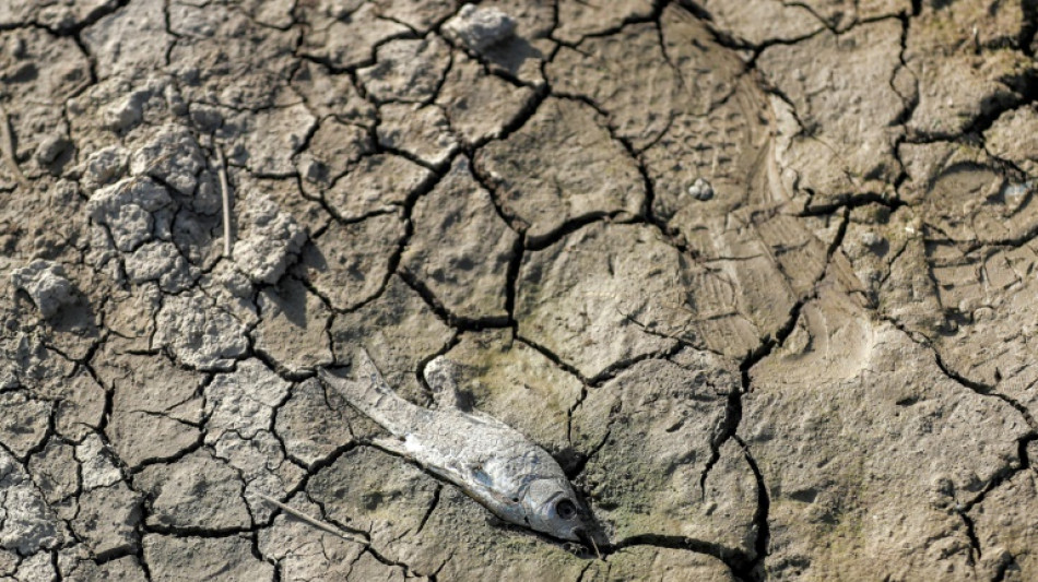 Deutschland und besonders bedrohte Staaten werben f&uuml;r "Global Shield" gegen Klimasch&auml;den