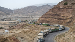 Erster Konvoi des Weltern&auml;hrungsprogramms seit zwei Wochen in Tigray eingetroffen