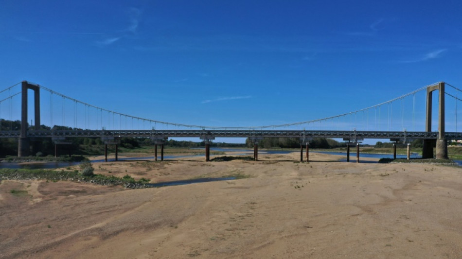 2022, ann&eacute;e la plus chaude jamais mesur&eacute;e en France (M&eacute;t&eacute;o-France) 