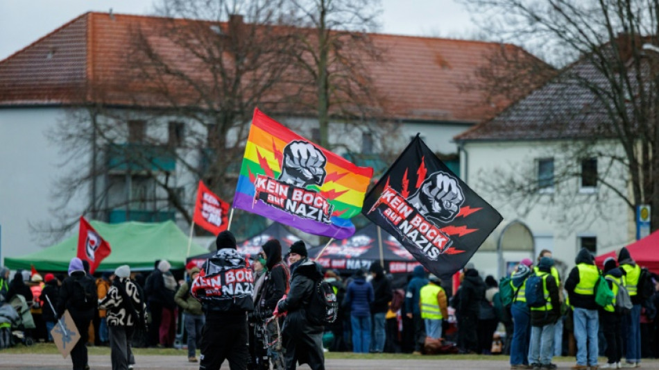 Manifestantes retrasan el inicio del congreso del partido de extrema derecha alem&aacute;n AfD