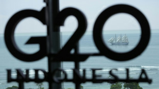 Mehrheit der G20-Staaten will Russlands Krieg in Gipfelerkl&auml;rung verurteilen