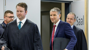 Wegen Verwendens von NS-Parole: AfD-Politiker H&ouml;cke erneut zu Geldstrafe verurteilt