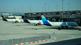 Contr&ocirc;le aux fronti&egrave;res: l'UE reconna&icirc;t qu'il y a "beaucoup &agrave; faire" pour mettre fin aux queues dans les a&eacute;roports