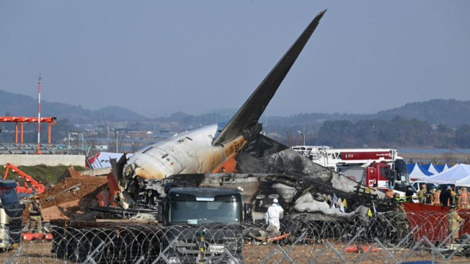 All but two feared dead after South Korea plane crashes with 181 aboard