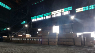 Jsw 'in acciaieria Piombino materiali per 51 milioni, attesa variante urbanistica'