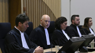 Lebenslange Haft f&uuml;r drei Angeklagte in Prozess um MH17-Abschuss in Niederlanden