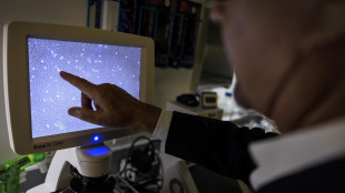 Le cellule tumorali diventano pi&ugrave; aggressive se sono compresse