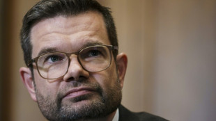 Buschmann erinnert an "Mut" von Demonstranten in L&auml;nder wie Iran und China
