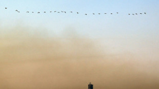 World Bank drops climate finance targets in renewed action plan