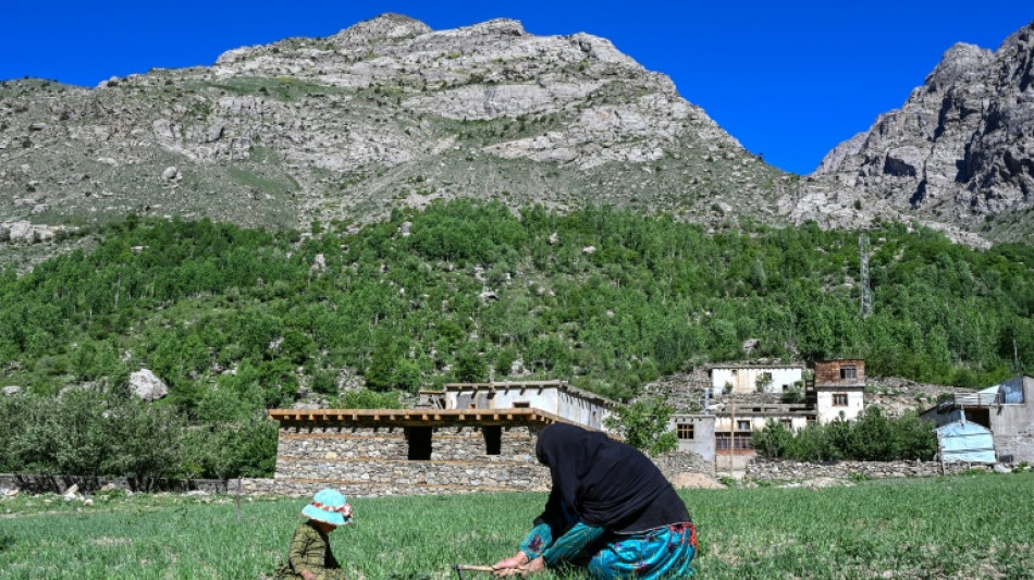 Dans les montagnes du Nouristan, la fiert&eacute; des agricultrices afghanes