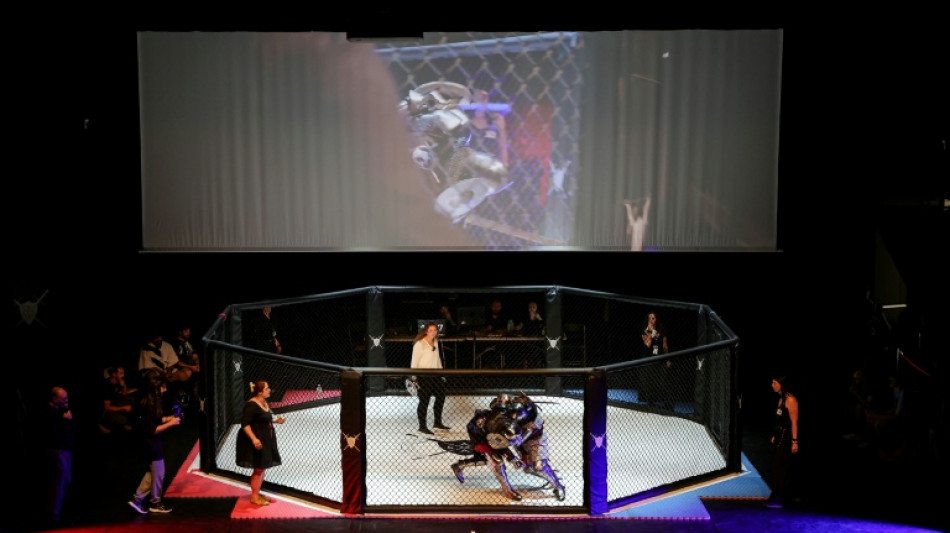 Heavy metal: French town hosts medieval combat cage fights