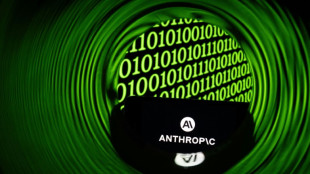 Anthropic lanza un modelo menos caro cuando aumentan los costos de la IA