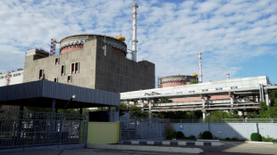 Ukraine wirft Russland Entf&uuml;hrung von F&uuml;hrungskr&auml;ften des Akw Saporischschja vor