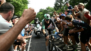 Teenage talent Seixas delighted after 'marvellously tough' Tour de France stage
