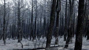 Los dos incendios cerca de Madrid siguen sin estar bajo control