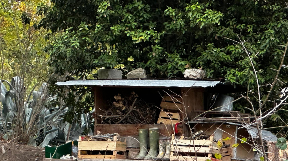 Famiglia bosco, genitori convocati gioved&igrave; in Tribunale