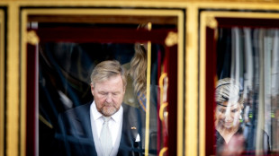 El rey de Pa&iacute;ses Bajos, "afectado" por el pasado colonialista y esclavista de la monarqu&iacute;a