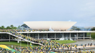 Bolsonaro-Anh&auml;nger st&uuml;rmen Gel&auml;nde vor Brasiliens Kongress