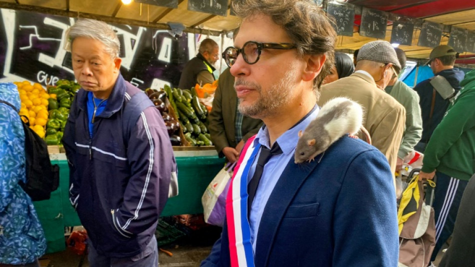 Las ratas de Par&iacute;s encuentran un aliado pol&iacute;tico inesperado
