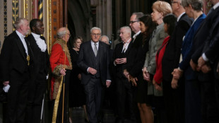 A Westminster, le pr&eacute;sident allemand cite le groupe Oasis pour parler des relations post-Brexit