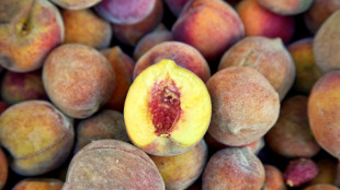 As climate changes, farms in US 'Peach State' Georgia suffer