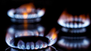 Il gas apre in rialzo sul mercato di Amsterdam (+0,7%)