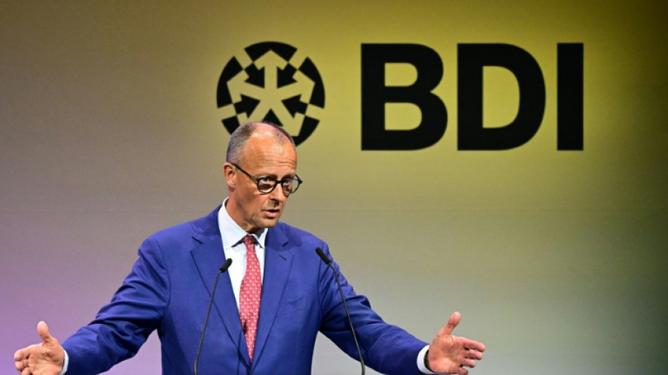 Merz kritisiert Br&uuml;ssel: EU verhandelt im US-Zollkonflikt "viel zu kompliziert"