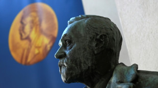 Le Nobel de chimie consacre de nouvelles structures moléculaires au "potentiel énorme"