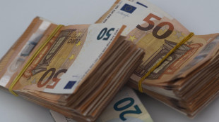 Bankitalia, a maggio accelera crescita prestiti bancari +3,1%