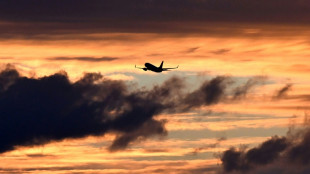 Qantas flight diverted after man bites flight attendant