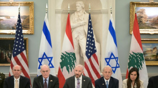 Isra&euml;l et le Liban conditionnent un cessez-le-feu &agrave; l'arr&ecirc;t des tirs du Hezbollah