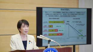 Japon: rallonge budg&eacute;taire de 19 milliards de dollars, face aux co&ucirc;ts g&eacute;n&eacute;r&eacute;s par la guerre