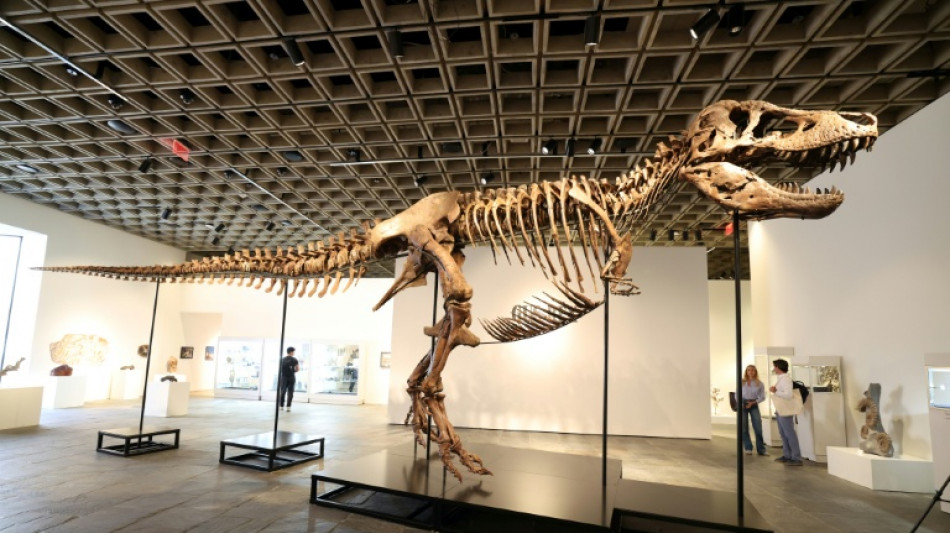 'Gus' the T. rex fetches record $50.1 mn at US auction