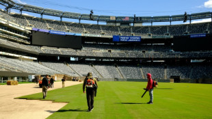 Grama natural &eacute; instalada no est&aacute;dio da final da Copa do Mundo