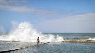 High seas treaty moves closer to reality with first signatures
