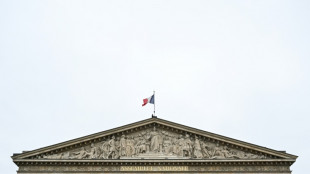 Les d&eacute;put&eacute;s entament &agrave; bonne allure l'examen du budget, face &agrave; des d&eacute;lais contraints
