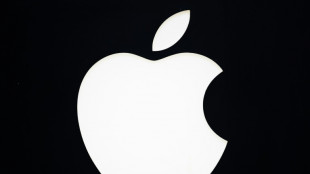 L'Indon&eacute;sie rejette une proposition d'investissement de 100 M USD d'Apple