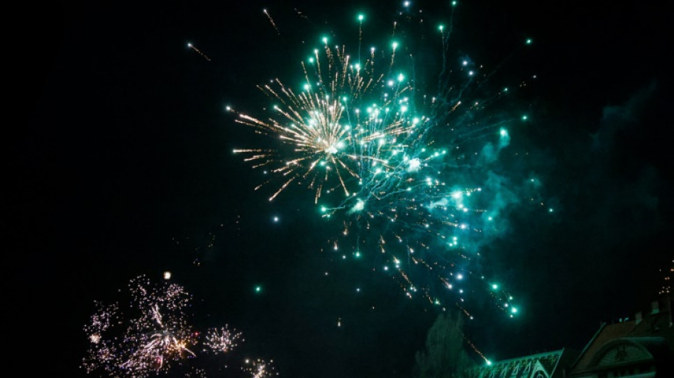 St&auml;dte- und Gemeindebund sieht nach Silvesterkrawallen "ein Vollzugsproblem"