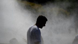 France presses ahead with street music festivals despite extreme heat