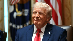 Trump says Israel, Hezbollah agree to halt fighting