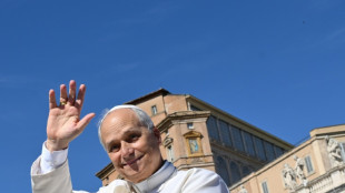 El papa une fuerzas con Schwarzenegger para "terminar" con el cambio climático