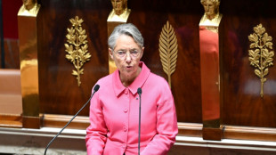Budget de la S&eacute;cu: Borne d&eacute;gaine sans surprise un nouveau 49.3