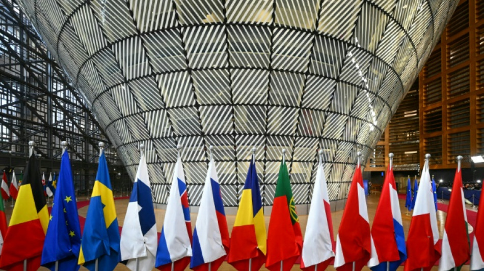 Pic d&eacute;mographique et cheveux blancs, l'Europe au d&eacute;fi du vieillissement